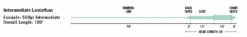 Rio Leviathan 5 Rio Leviathan -Fly Fishing Equipment Shop ScreenShot2021 10 11at10.39.27AM