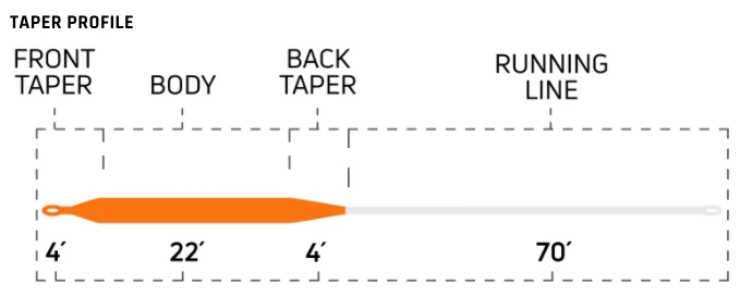 Cortland Specialty Series -Bass 2 Cortland Specialty Series -Bass - Image 2